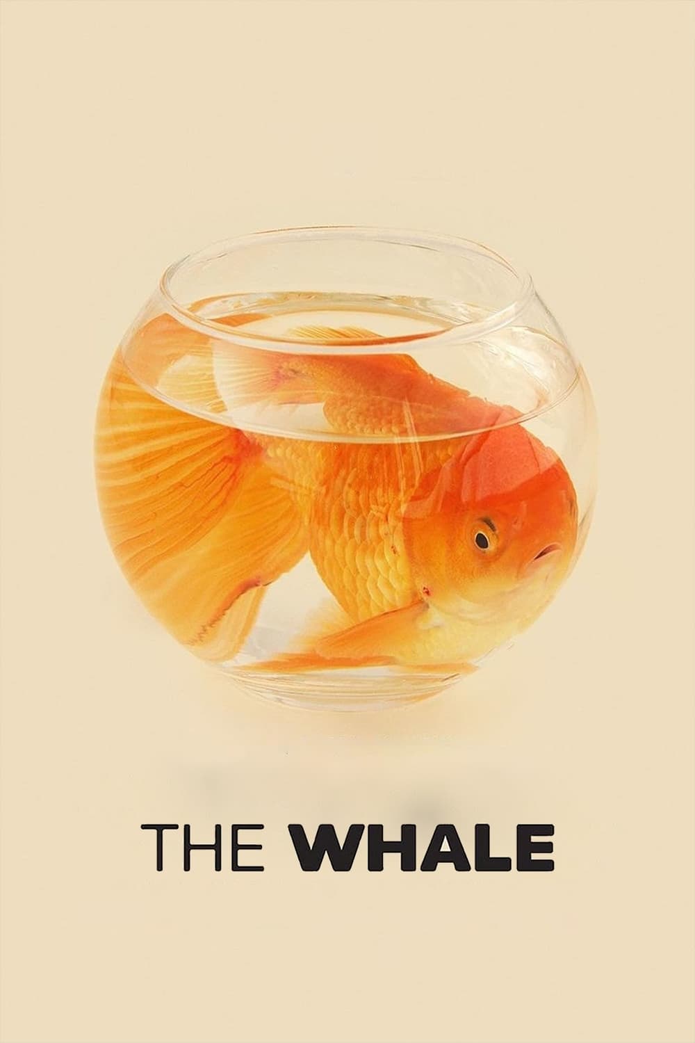 Poster for the movie "The Whale"